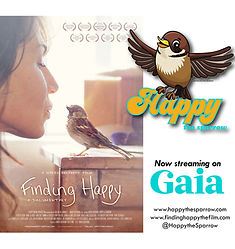 FINDIG HAPPY on GAIA.jpg