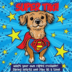 TIKI SUPERDOG V4.jpg