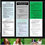 Thumbnail: Business Projects Bundle- Grades 9-12