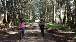 IMG_20181020_090758420_BURST000_COVER