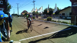 treinando para panda