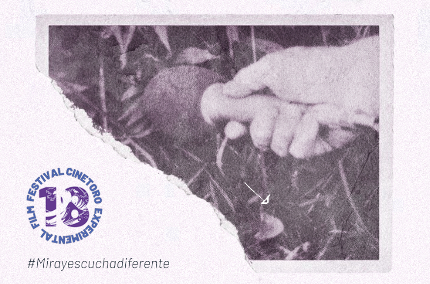 CINETOR FILM FESTIVAL