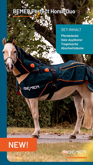 DE-BEMER-Perfect-Horse-Duo-T-1080x1920px.jpg