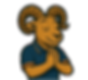 RAM15_edited.png