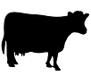cow png.png