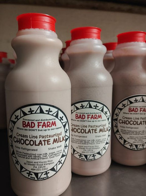 chocolate pints.jpeg