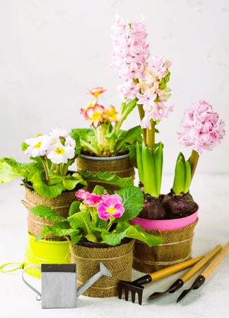 April Showers Bring May Flowers: Gardening Tips for Spring