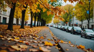 Autumn-it's getting cold outside