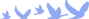 Invis-logo_Transparent_Medium-Blue.png