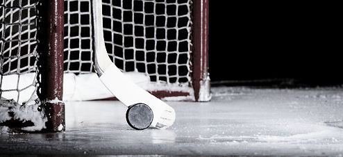Hockey Net Closeup_edited.jpg