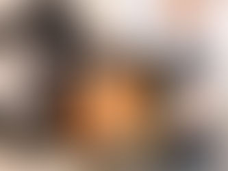 Vacuum Cleaner Repair in the United States