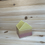 Thumbnail: Tea House