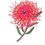 Thumbnail: Aussie Decor Transfers Australian Wild. Gumnuts &Grevilleas Transfer