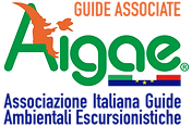 guideassociate.png