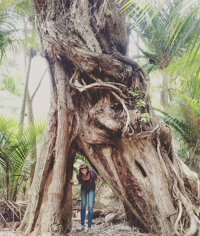 Lonnies Planet in forest Piha, New Zealand
