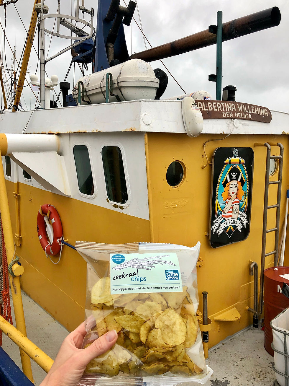 Chips met zeekraal Terschelling