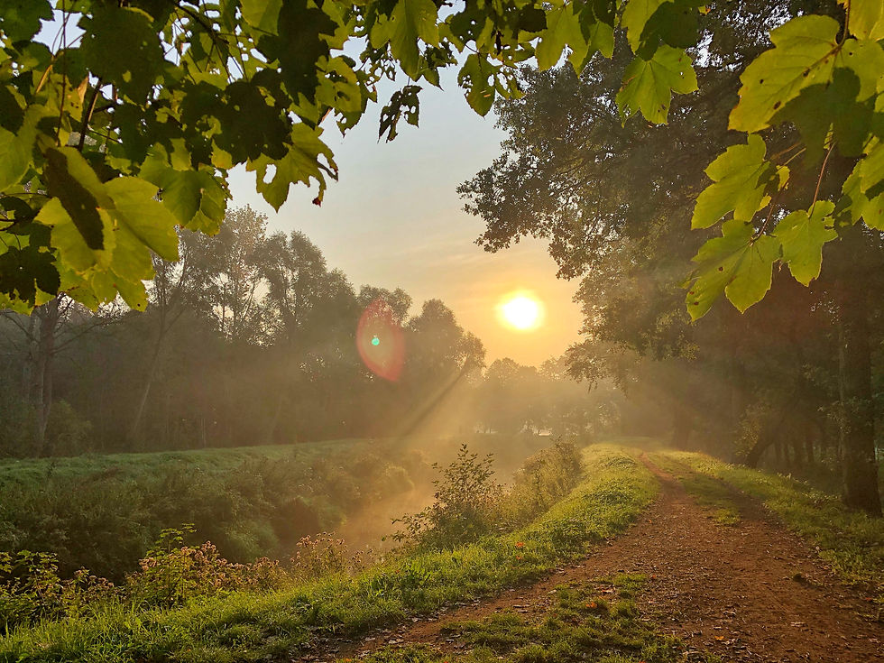 Sunrise at Grote Nete Belgium