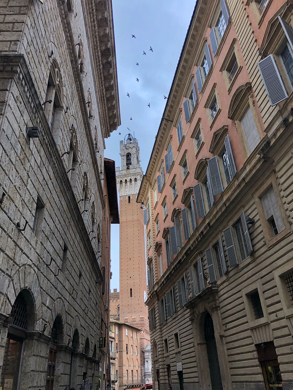 Torre del Mangia in Siena Italy