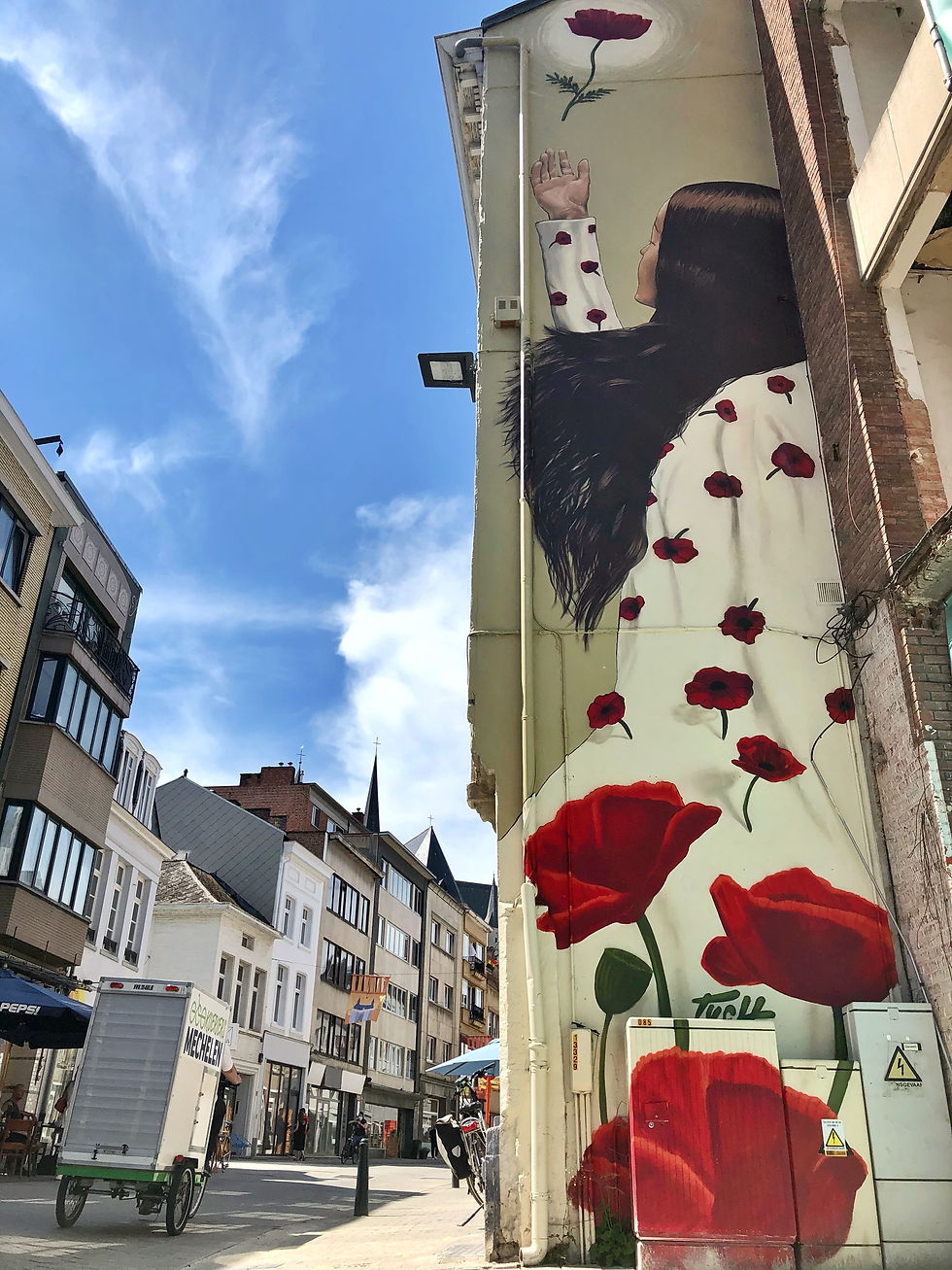 Street Art by TUCH in Mechelen