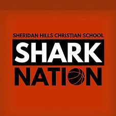 Sharks (4)_edited_edited.jpg