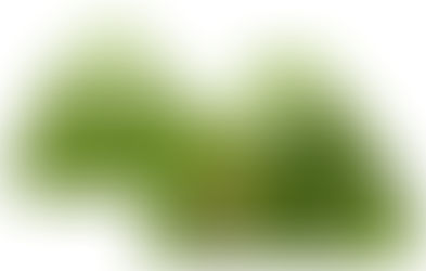 2019春遊專案補助大公開！2019 Spring Tour Subsidy!