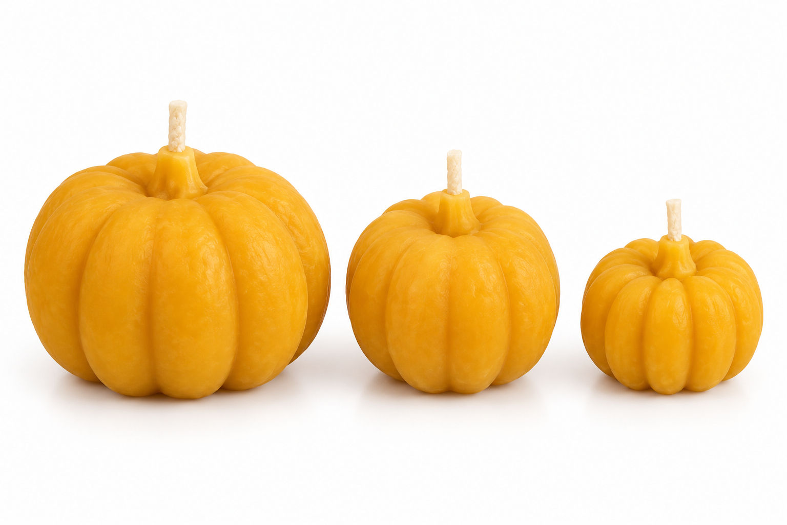 Pumpkin Posse Beeswax Candle Set