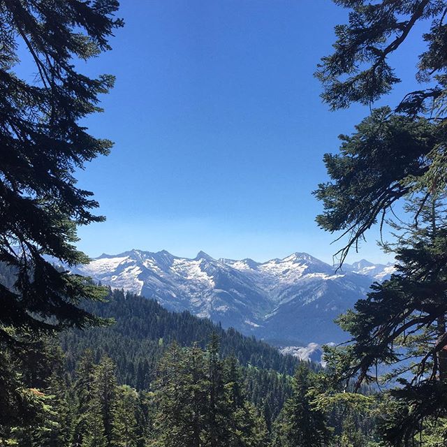 Buckeye Tree Lodge | Hotels Near Sequoia National Park | United States