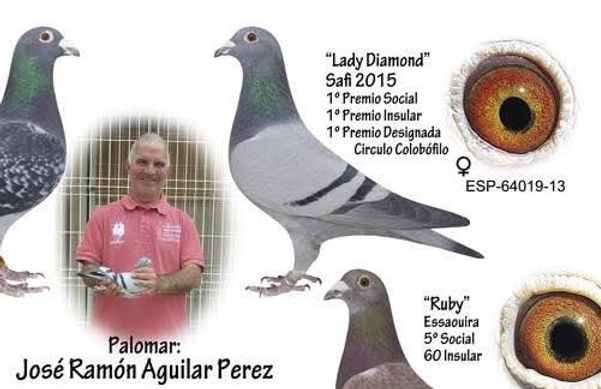 002.- 1º Safi 15 Ramón Aguilar x 2.jpg