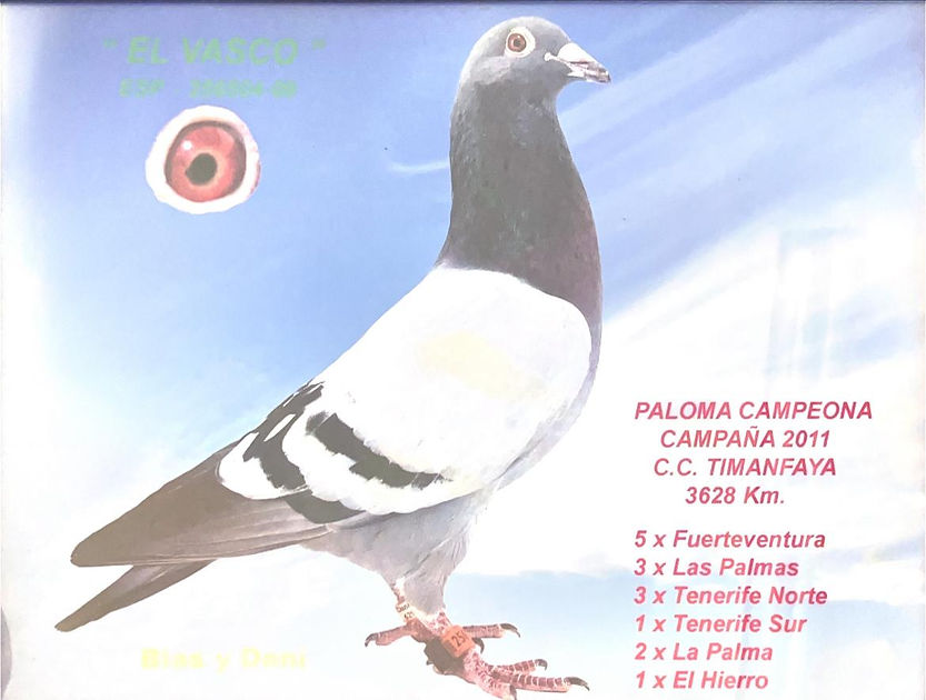 02.- 2.011 P2 H 02.- Paloma-min.jpeg