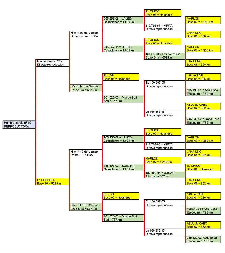 Par. 19 H La 809.840-22-min.jpg