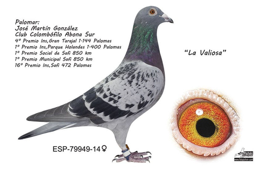 051.- Safi 15 José Martín-min.jpg