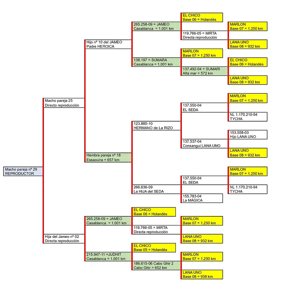 Par. 29 M 809.937-23-min.jpg