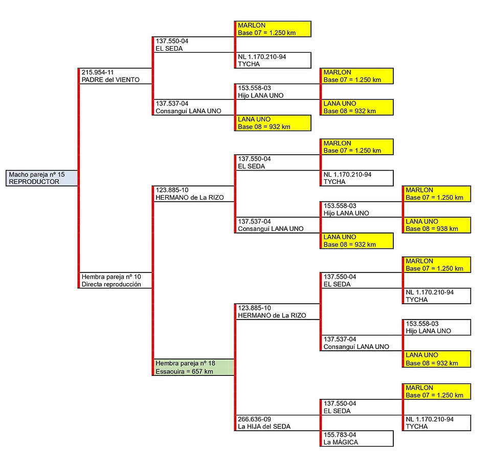 Par. 15 M 705.817-22-min.jpg