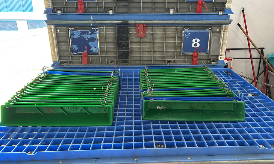 Bebederos limpios.-min.jpg