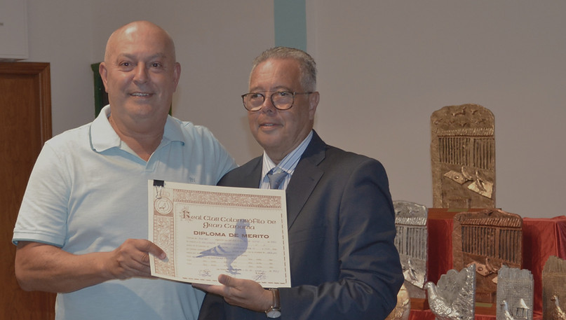 030.- Diploma Boro-min.JPG