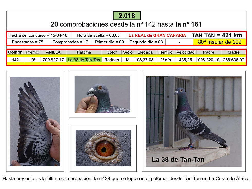 031.- 142  año 2.018 normal con foto-min.jpg