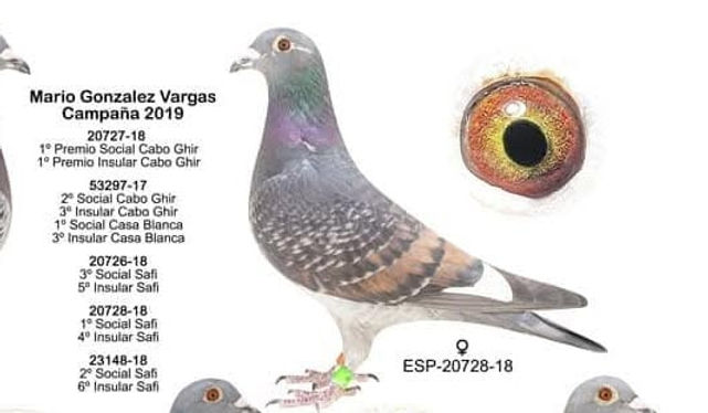001.- 6º de Mario Vargas-min.jpg