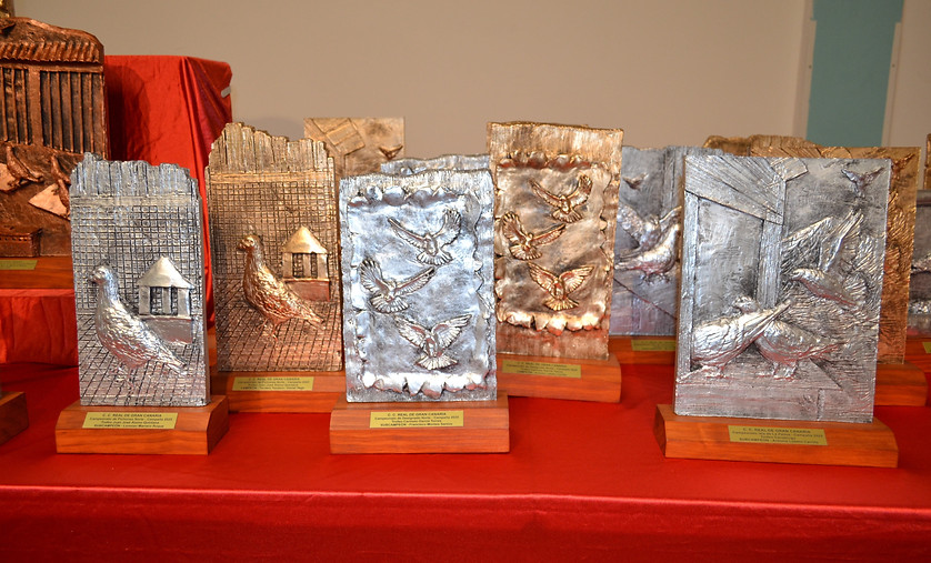 010.-  Trofeos-min.JPG