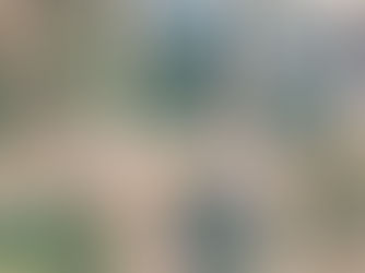 Monet and mindfulness