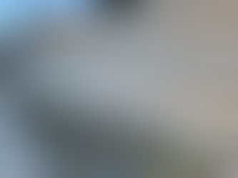 木塀メンテナンス