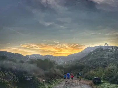 MT WOODSON