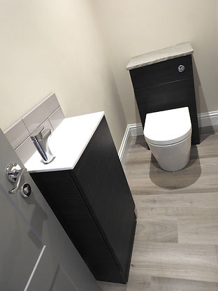 UPDATED LOO.jpeg
