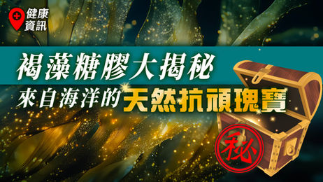 [vol. 01] 褐藻糖膠大揭秘 來自海洋的天然抗頑瑰寶