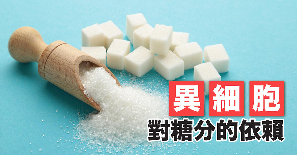 戒糖並不能有效餓死異細胞