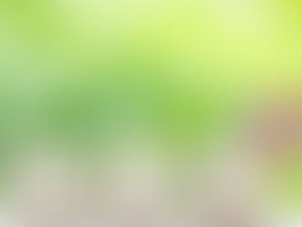 工房のInstagram・Twitter・Facebookを開設しました。