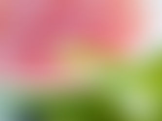 Pure Joy Catering Cocktail Recipes