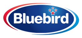 Christmas Box Partner - Bluebird