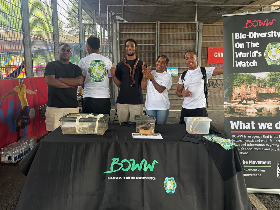 Bringing Nature to the City: BOWW at One Heart Festival 2026
