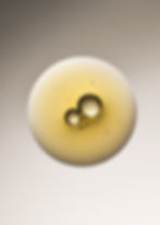 424aa180204503.5cdabce9dccf5