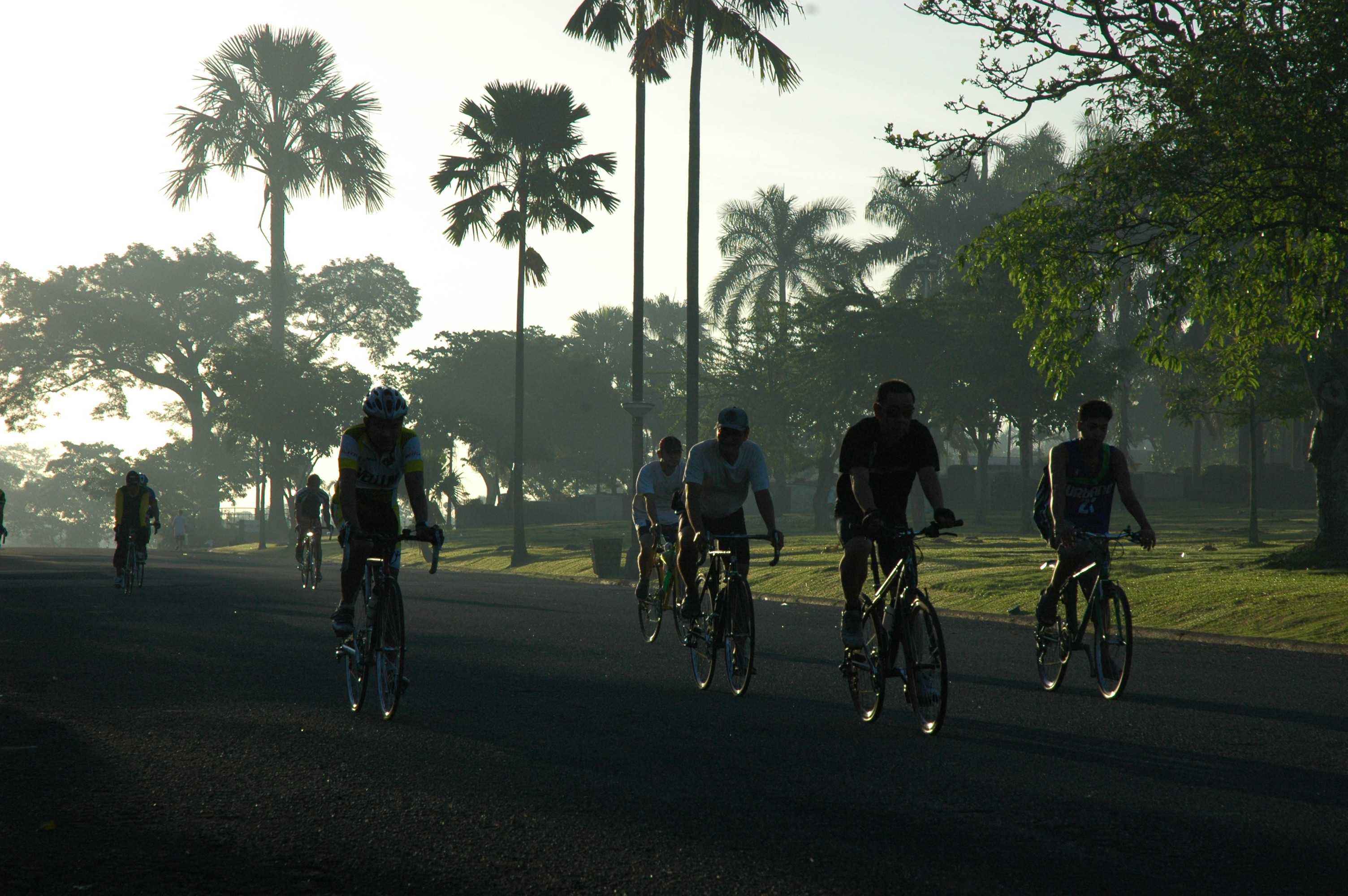 Home | Manila Memorial Park, Inc.